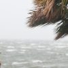 A year after Ian, Southwest Florida recovering with help of UF/IFAS Extension